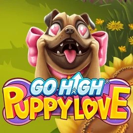 Play Go High Puppy Love slot by RubyPlay on rain-bet.info
