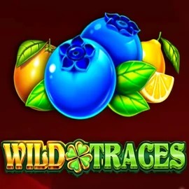 Play the Wild Traces slot by Amusnet Interactive on Rainbet Casino