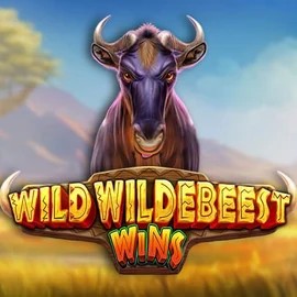 Wild Wildebeest Wins logo – Slots by Pragmatic Play at Rainbet Casino